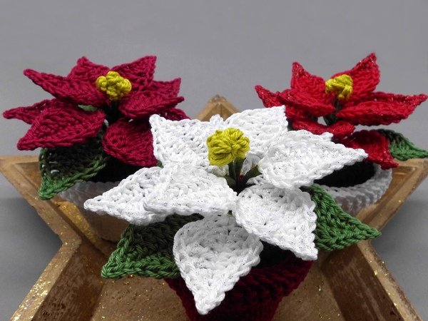 Poinsettia in a pot Crochet Pattern