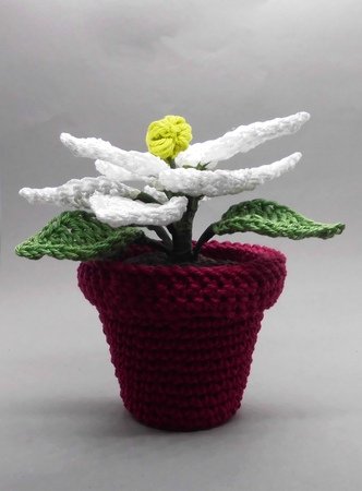 Poinsettia in a pot Crochet Pattern