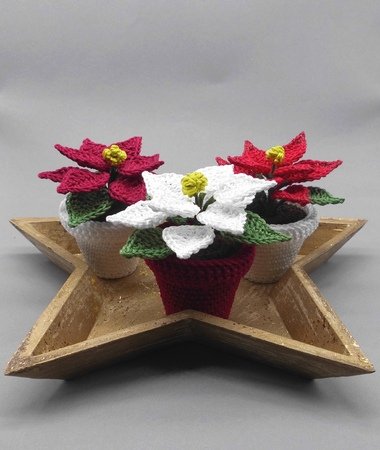 Poinsettia in a pot Crochet Pattern