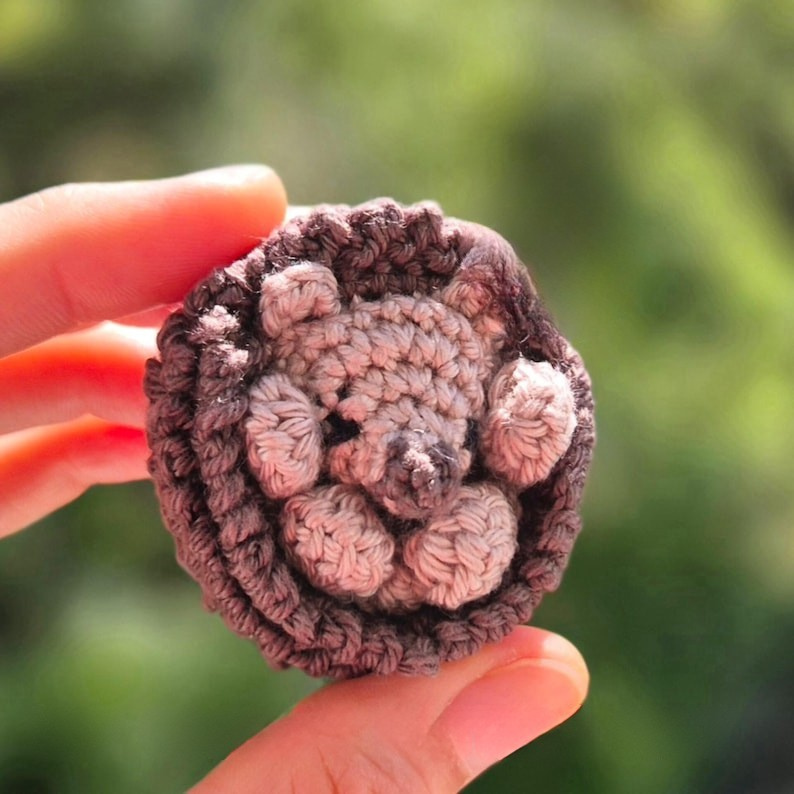 Little Hedgehog Crochet Pattern