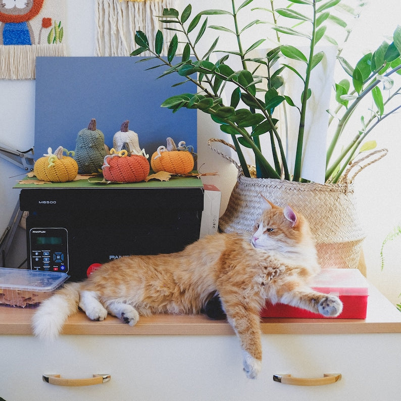 Adorable Pumpkin Crochet Pattern