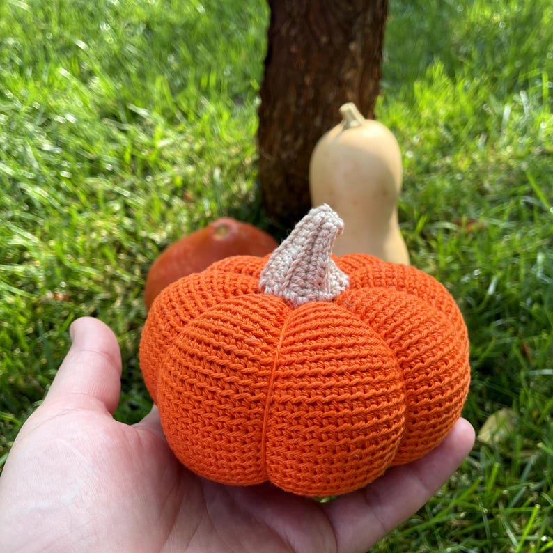 2 in 1 Pumpkin Crochet Pattern