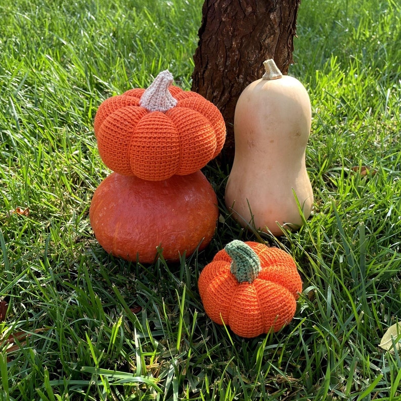 2 in 1 Pumpkin Crochet Pattern