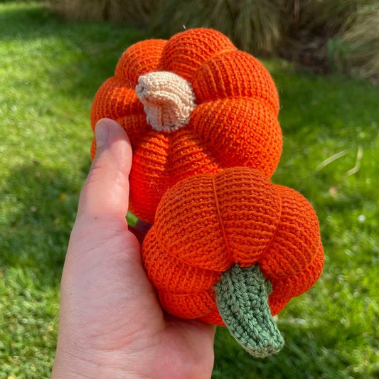 2 in 1 Pumpkin Crochet Pattern