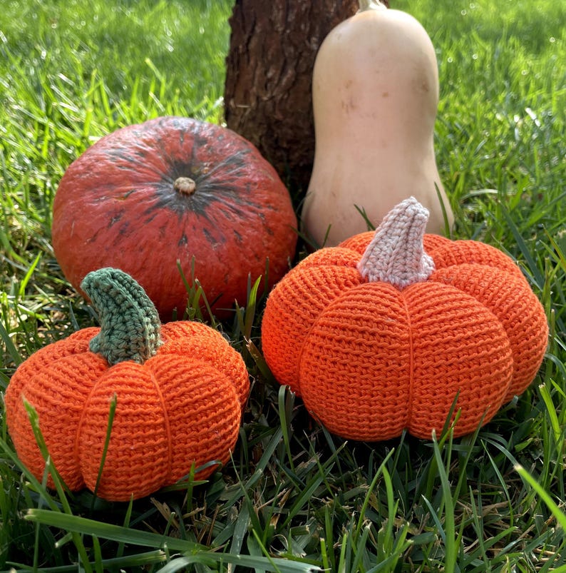 2 in 1 Pumpkin Crochet Pattern