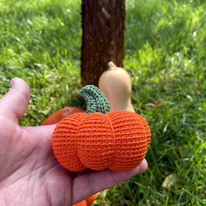 2 in 1 Pumpkin Crochet Pattern